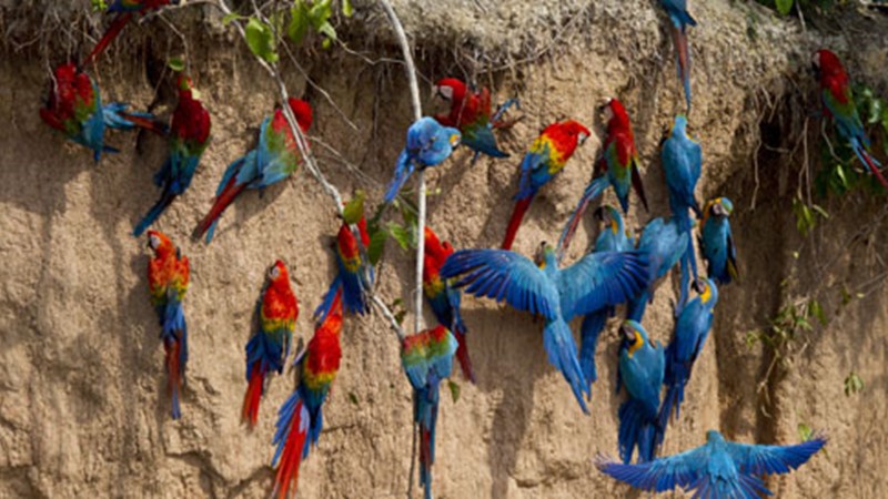 packages-Colibri-Inner-Journeys
